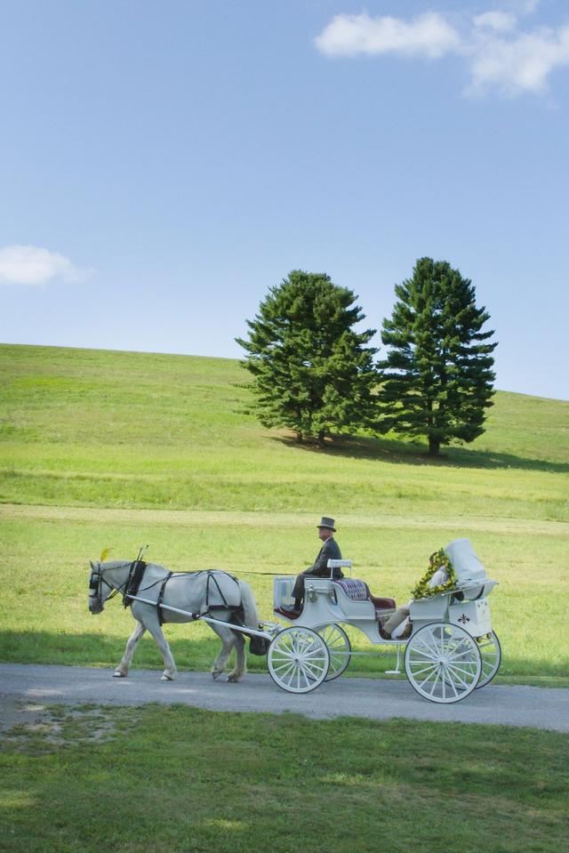 Carriage Limousine Service - Horse Drawn Carriages - 2