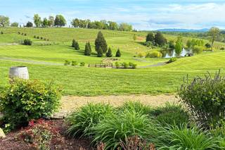 Stone Tower Winery - 43
