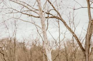 Jordyn Kasey Photography - 6