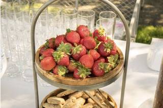 Trumpet Vine Catering - 19
