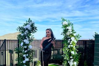 Tiana Snow Electric & Acoustic Violinist in Las Vegas - 8