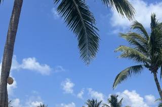 Honeymoons, Inc. - 19