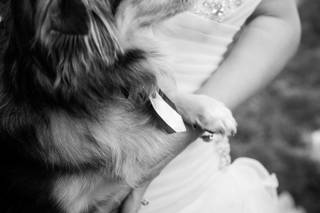 K&T Photography - 6