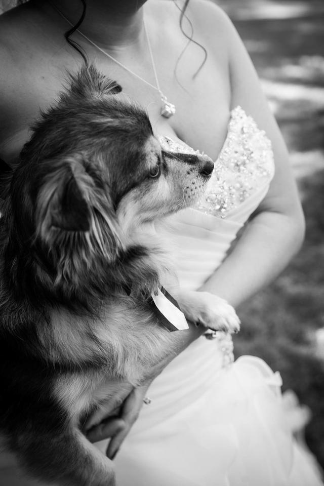 K&T Photography - 2