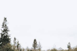 nellsphotography - 11