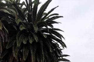 Romantic Santa Barbara Weddings - 15