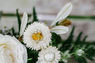 Carolina Flowers - 23