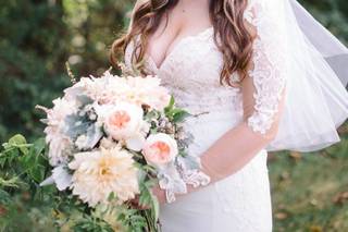 Dorsey Beauty - 112