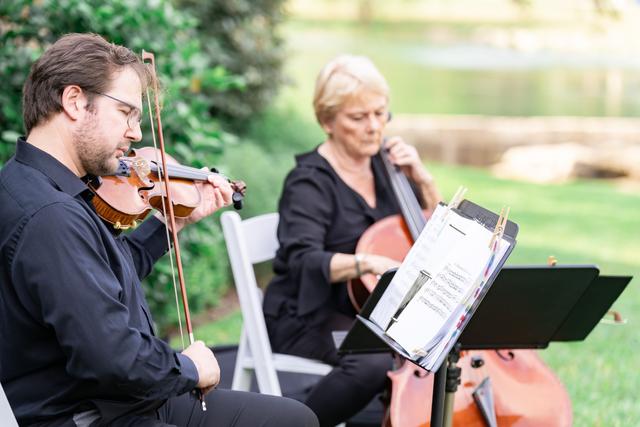 Terra Vista Strings - 1