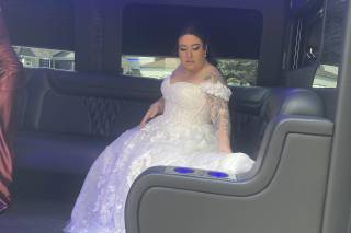 Platinum Party Bus & Limousine Service - 5