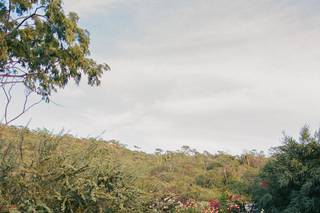 Bliss Events by Bonnie Chase - 8
