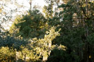 Wrightsville Manor - 18