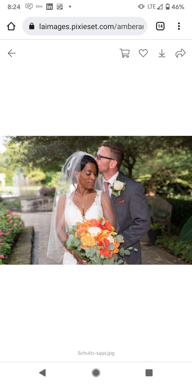 LA Images Photography - 2