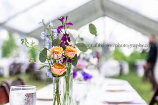 Pisarcik Greenhouses and Cut Flowers - 5