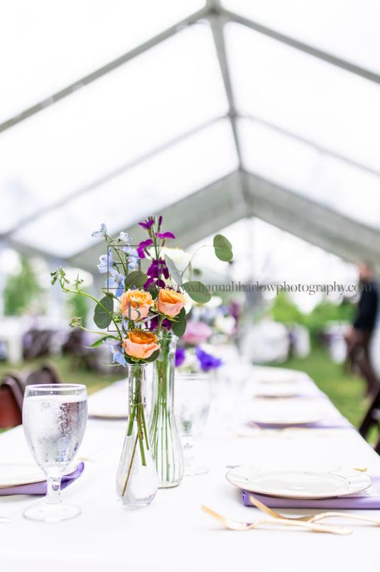 Pisarcik Greenhouses and Cut Flowers - 2