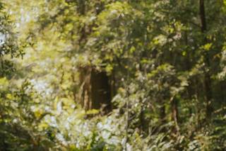 Rebecca Skidgel Photography - 23