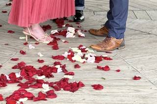 Dear Ceremony - 5