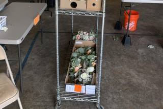 The Flowerman - 23