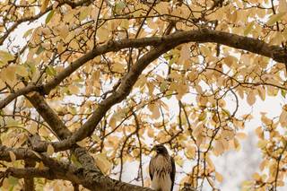 Paperbird Photography - 6