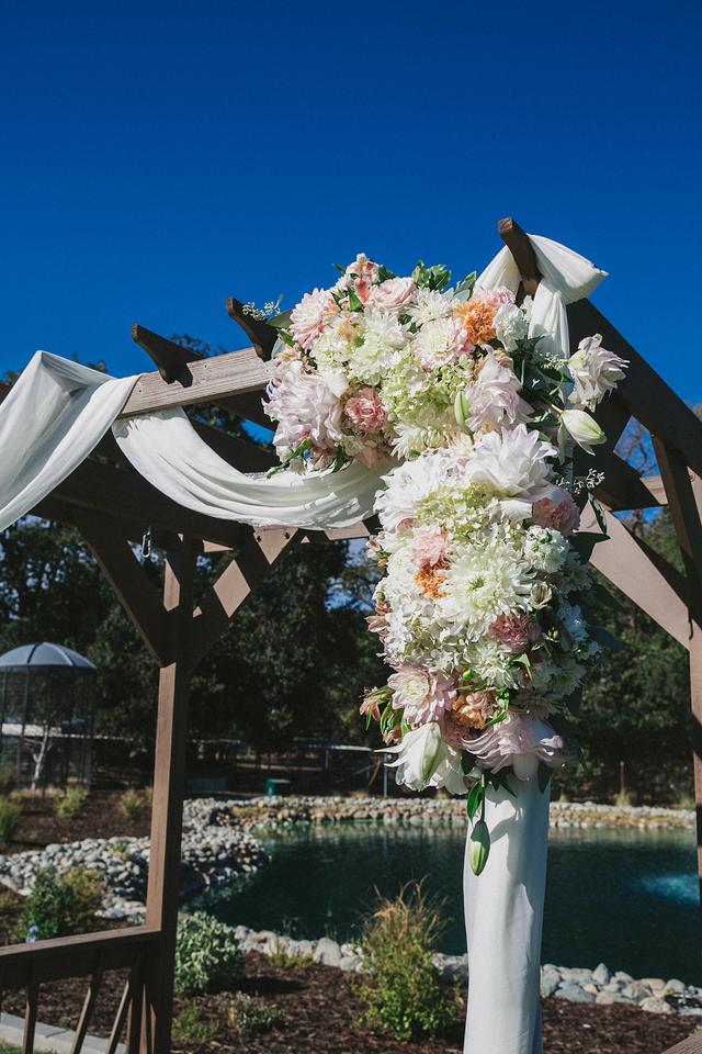 Ido-Floral - 2