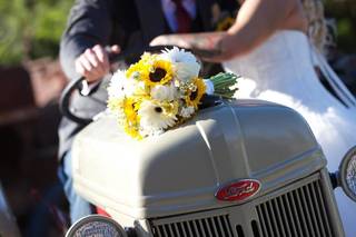 Paul Bartels Photography - 64