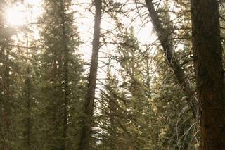 Mountain View Ranch by Wedgewood Weddings - 7