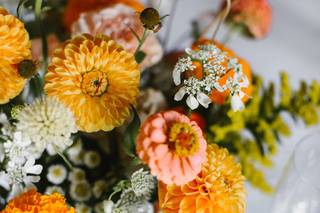 The Pollen Mill - 7