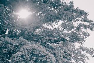 John T. Morgan Photography - 17