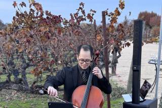 Synchronicity Strings - 8
