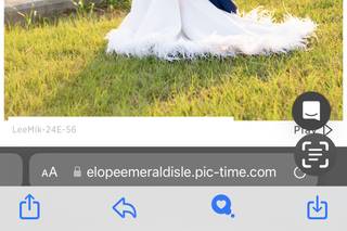 Ellen LeRoy Photography - 14