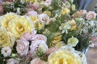 Flower Moxie - 5