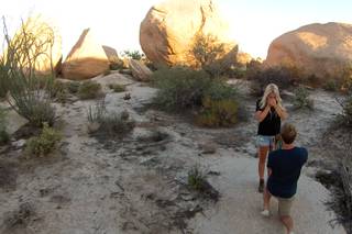 The Boulders at Skyrise - 9