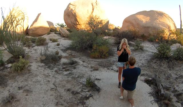 The Boulders at Skyrise - 4