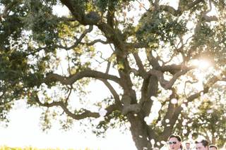 Amber Alyse Events - 18