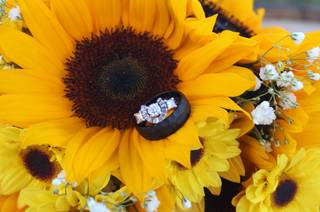 Abloom Ltd. Flowers and Events - 8