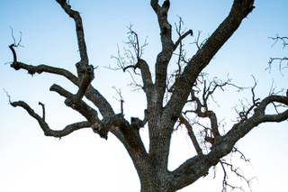 Jordan Kubat Photography - 4