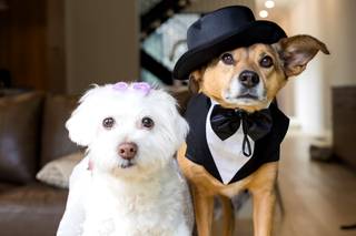 Lora Reehling Photography - 9