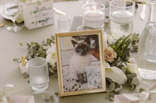 Little Bird Events - 24