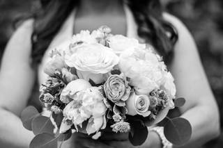 Stacy M Photo - 28