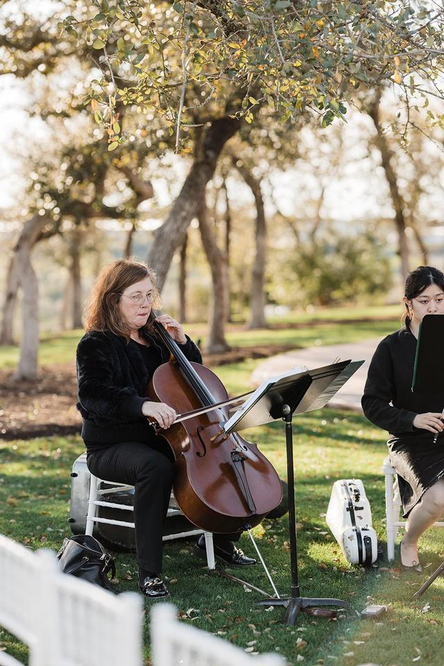 Terra Vista Strings - 2