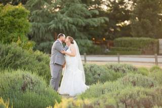 Pageo Lavender Farm - 11