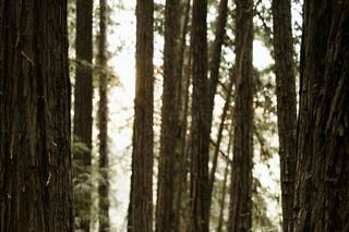 Cole Garrett Photography - 33