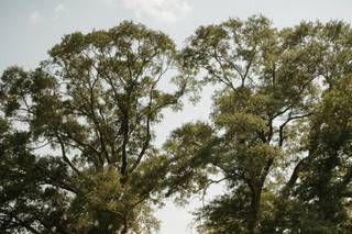 Spring Creek Weddings and Events - 18