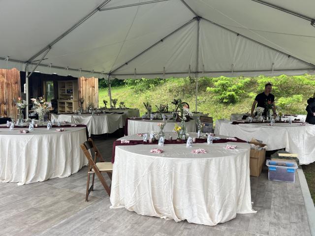 Golden Forest Events - 4