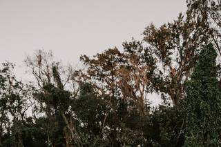 Meche Ausina Photography - 16