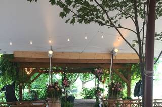 Red Maple Vineyard - 54