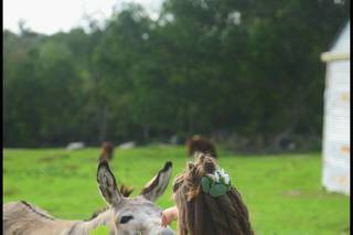 Katie Nemeth Photography - 22