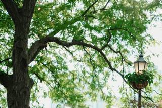 Officiant NYC - 9