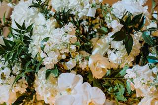 Raining Roses Productions - 5