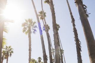 bycherry photography - 8